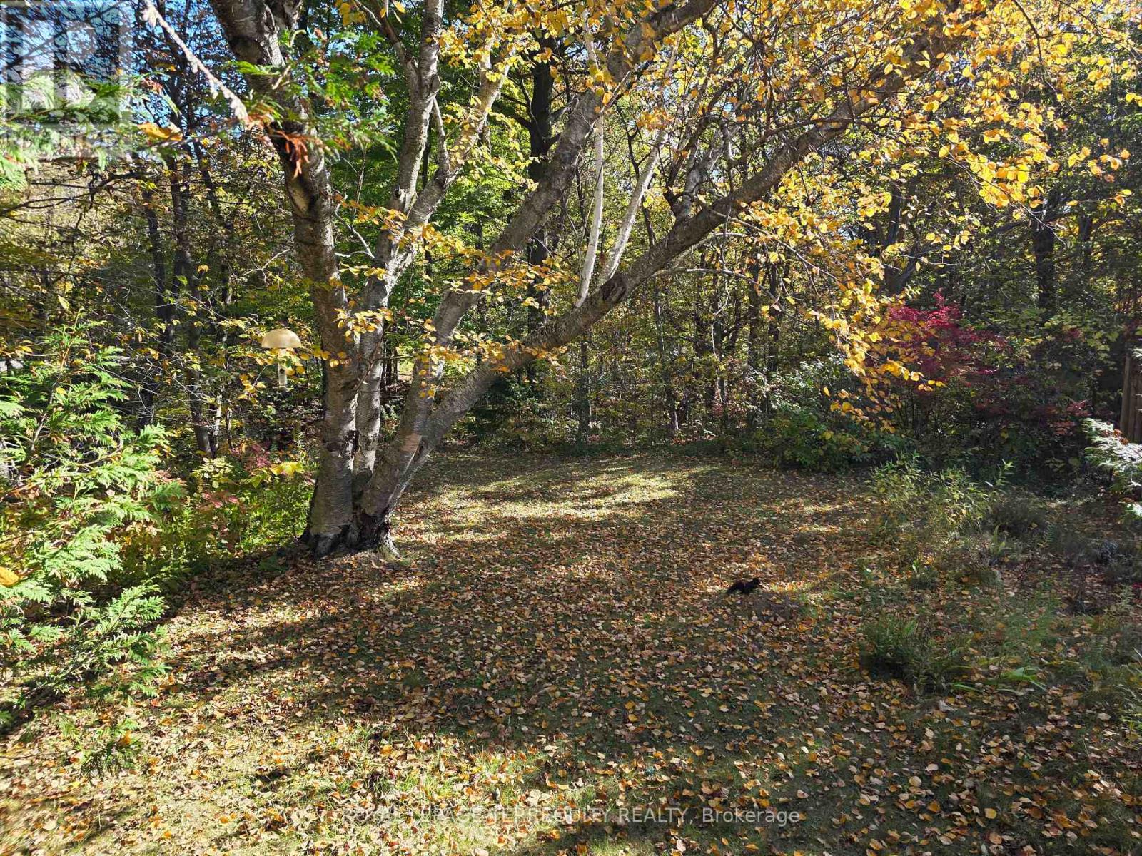 107 Cliffcrest Drive Property Photo 3