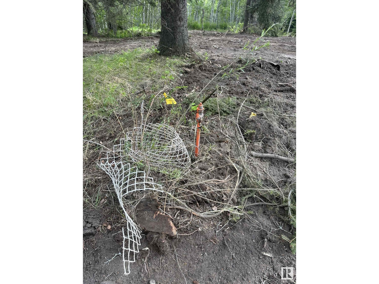 Nw30 57 6 W4 Highway 41 Property Photo 4
