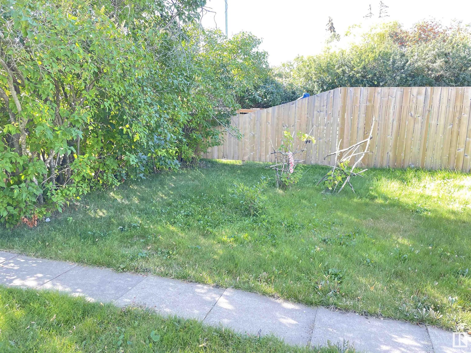 9832 107 St Property Photo 11