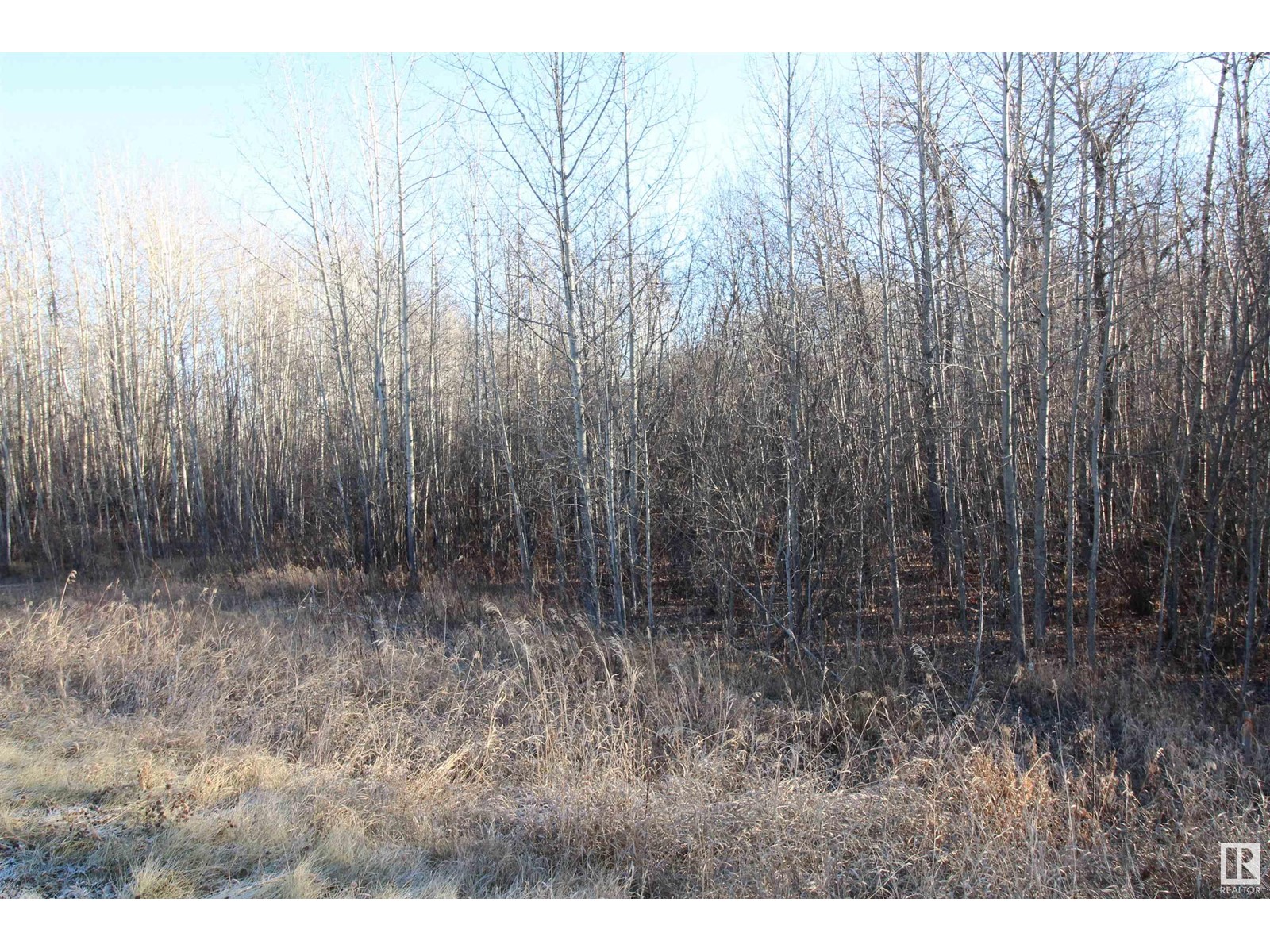 3524 Township Road 542 Property Photo 14