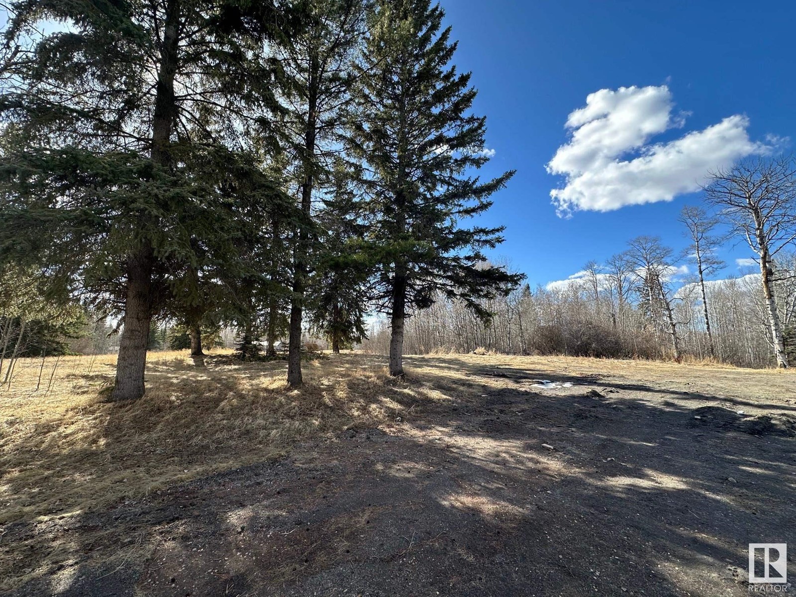 500 Parkins Avenue Property Photo 7