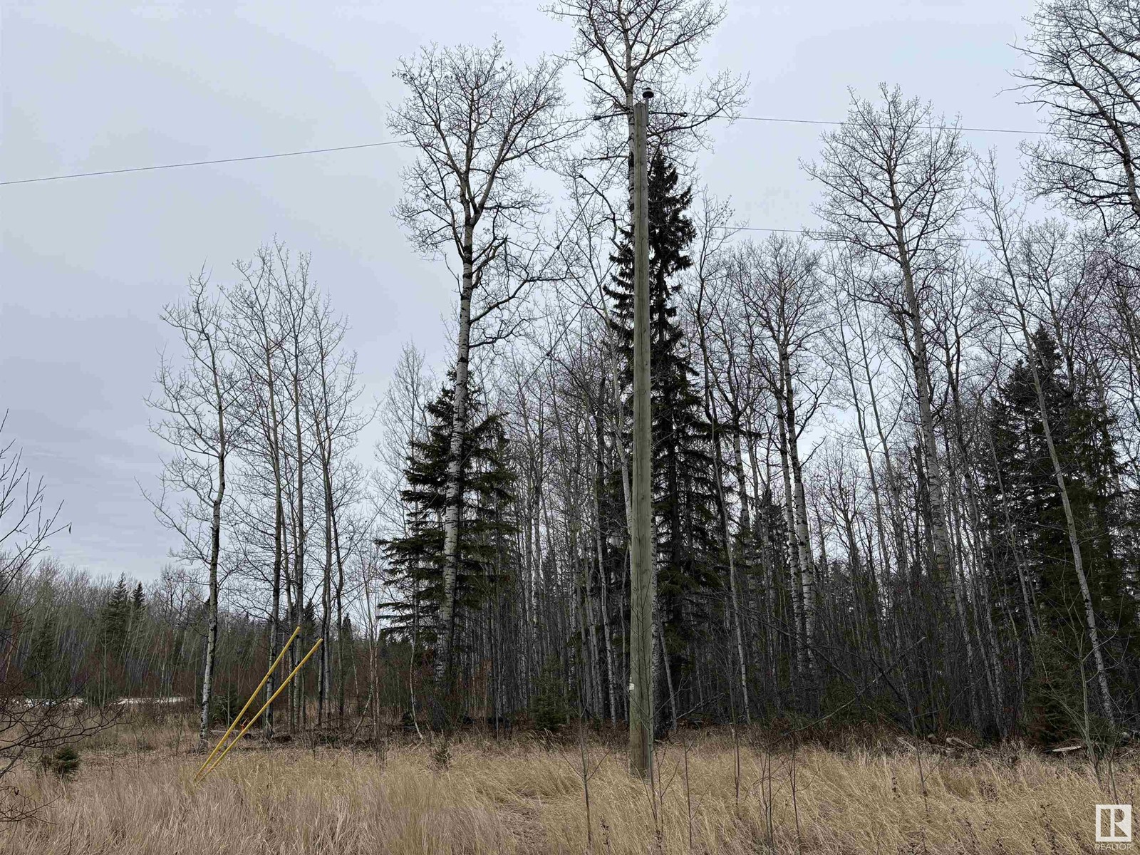 42218a Rd 651 Property Photo 3