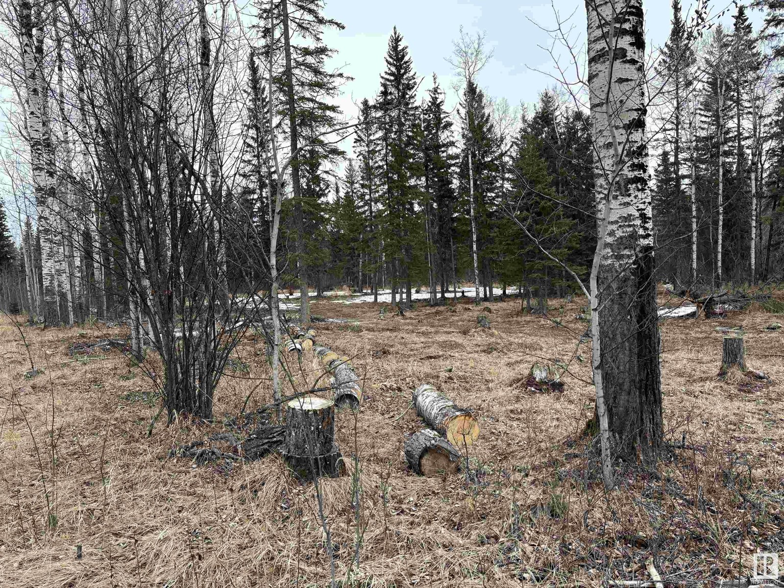42218a Rd 651 Property Photo 4