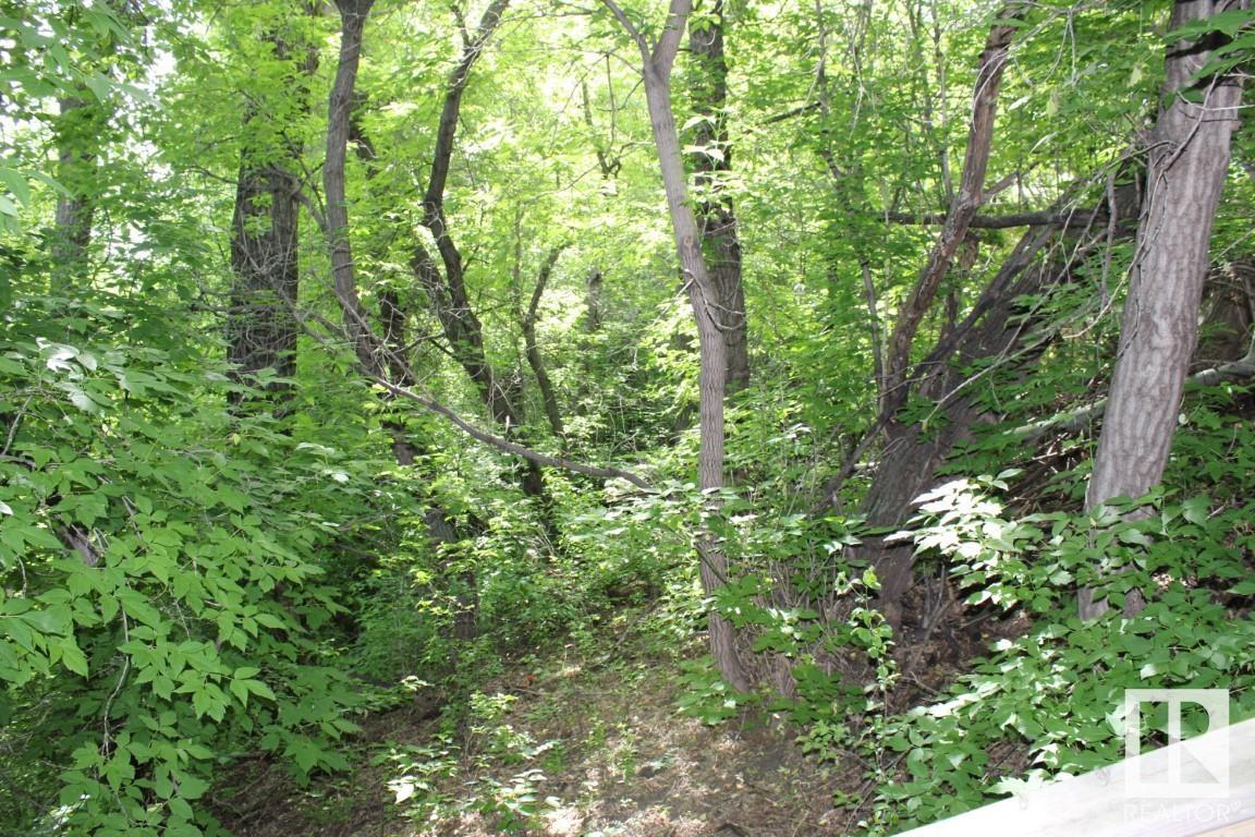 9109 98 St Nw Nw Property Photo 5