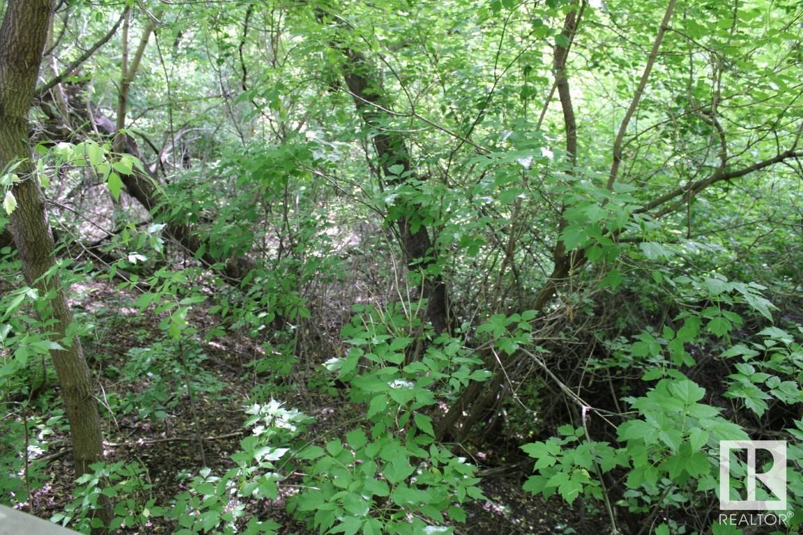 9109 98 St Nw Nw Property Photo 6