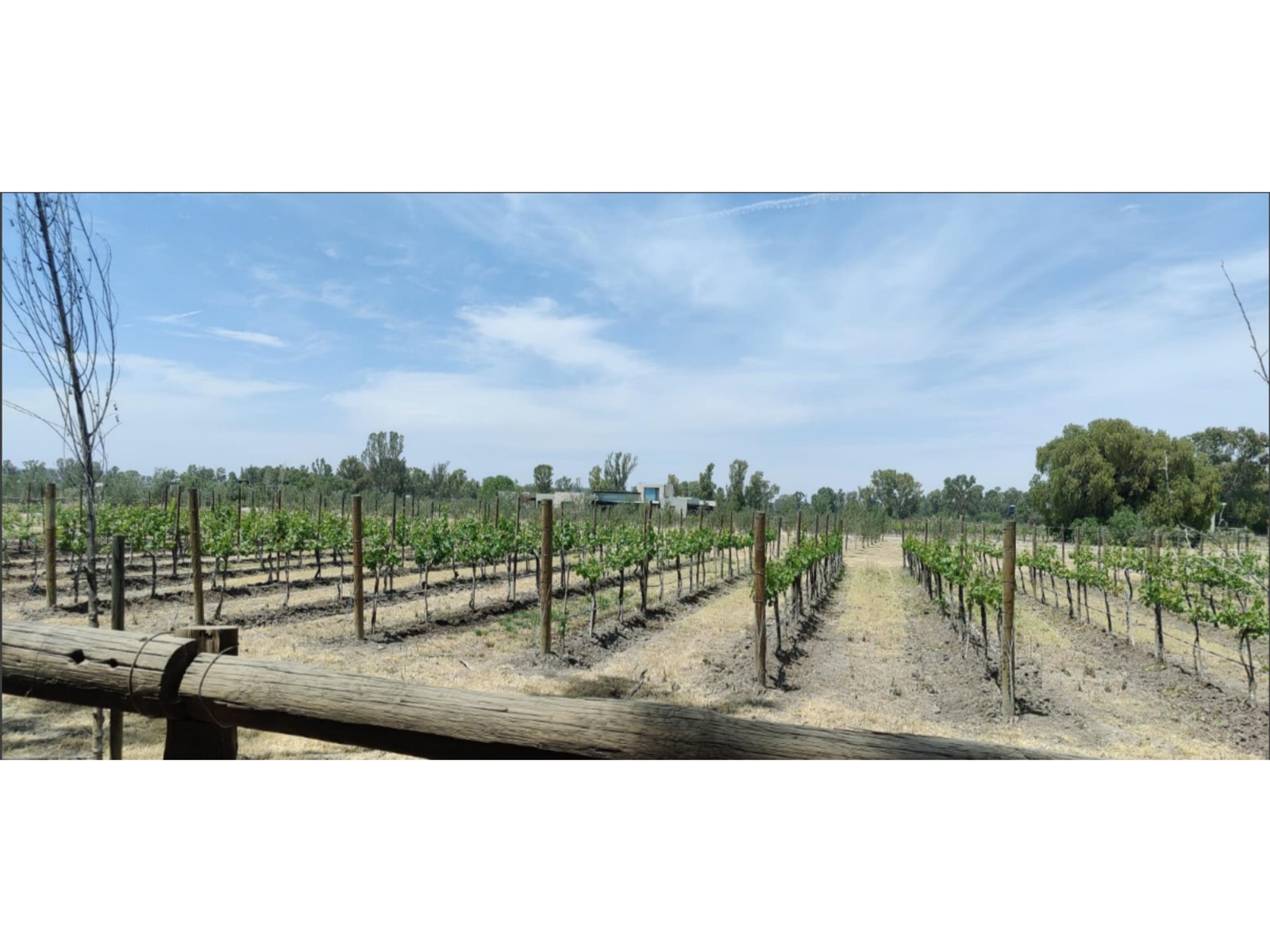 Lote 1 Manzana 8 Vinedo San Lucas Property Photo 30