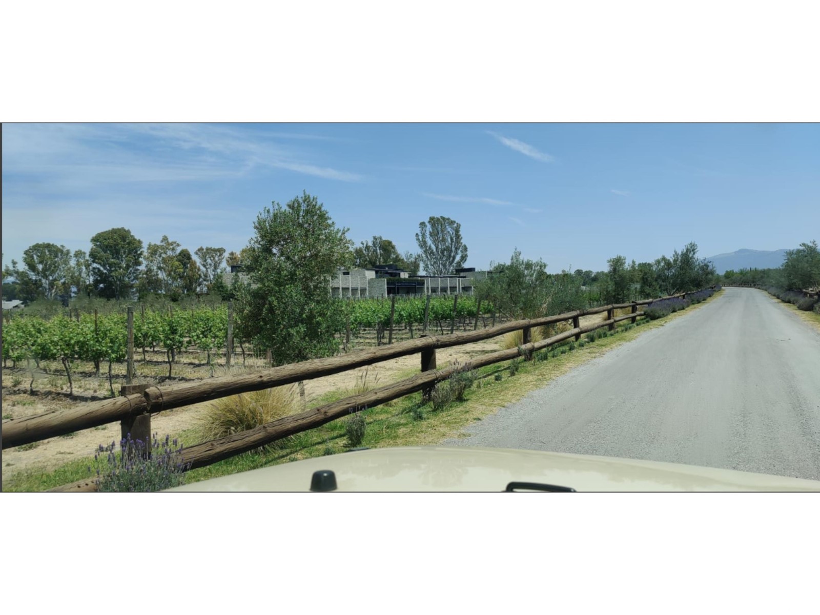 Lote 1 Manzana 8 Vinedo San Lucas Property Photo 31