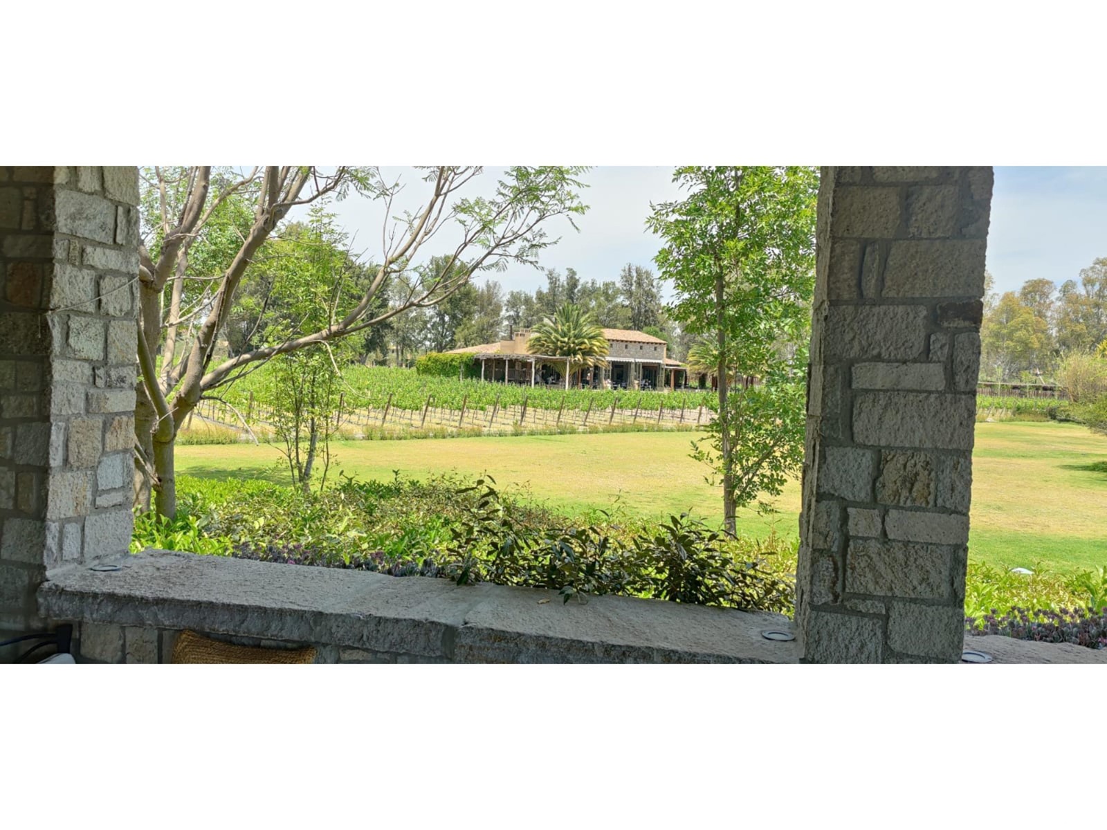 Lote 1 Manzana 8 Vinedo San Lucas Property Photo 34