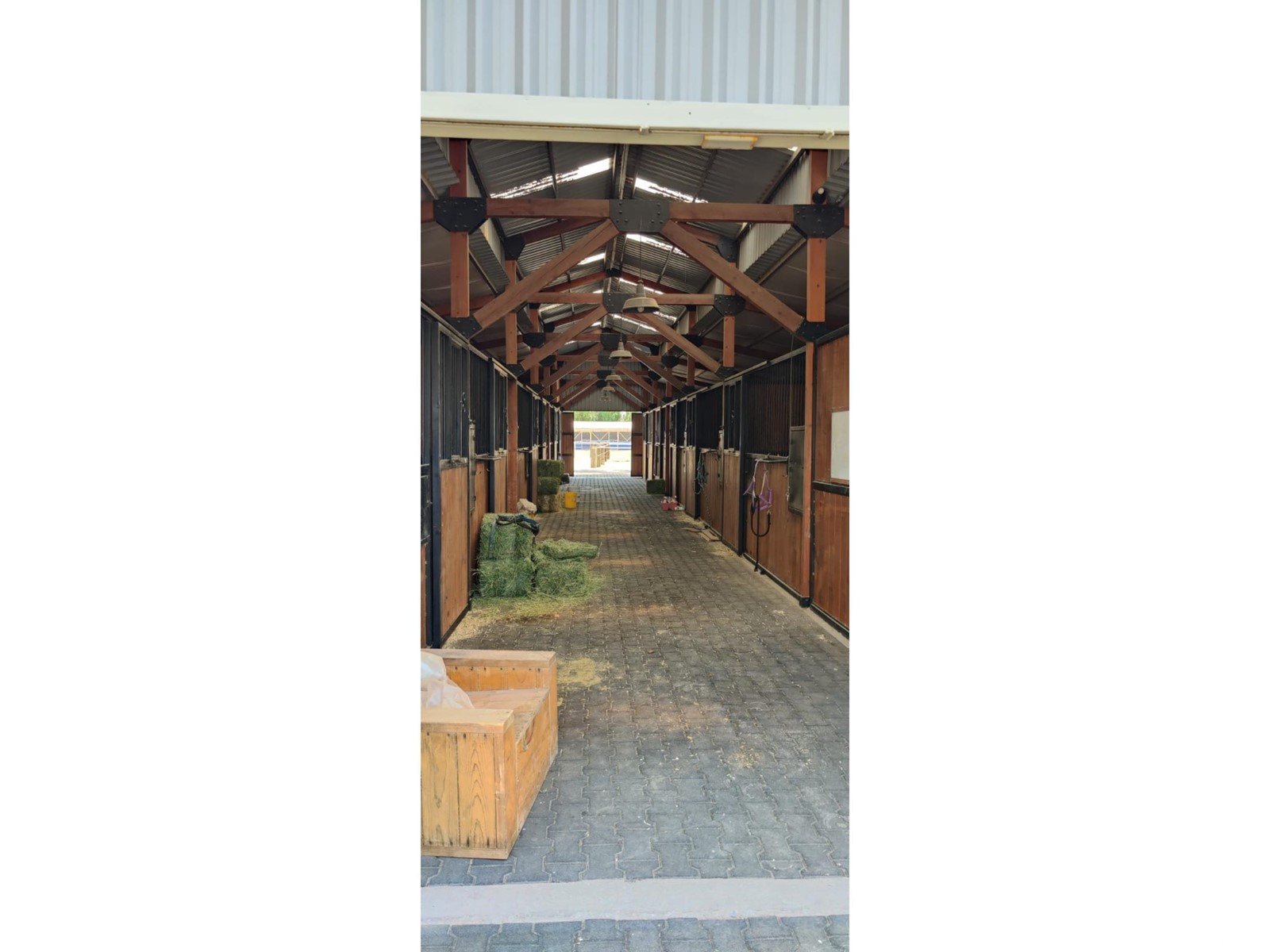 Lote 1 Manzana 8 Vinedo San Lucas Property Photo 37