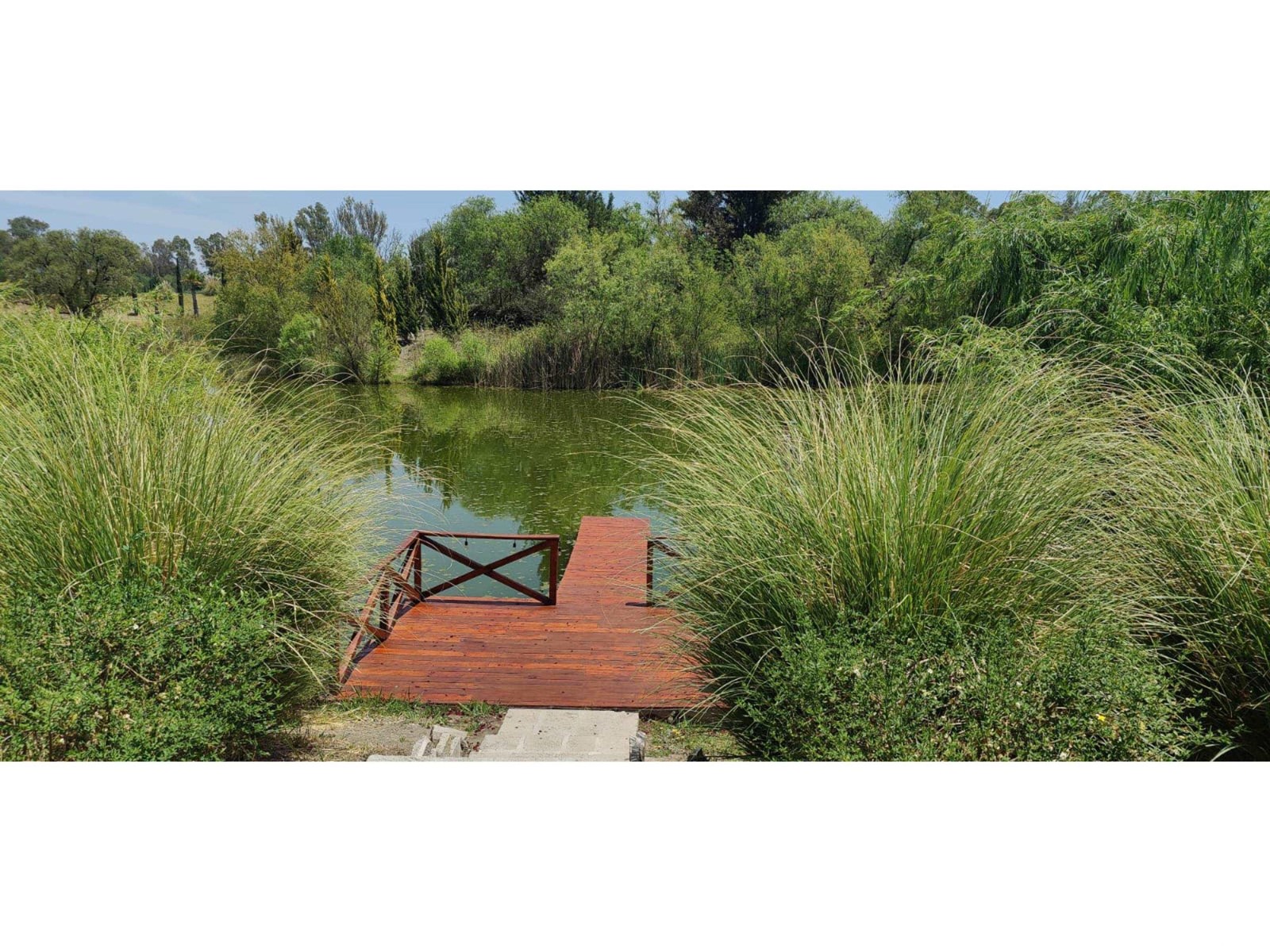 Lote 1 Manzana 8 Vinedo San Lucas Property Photo 41