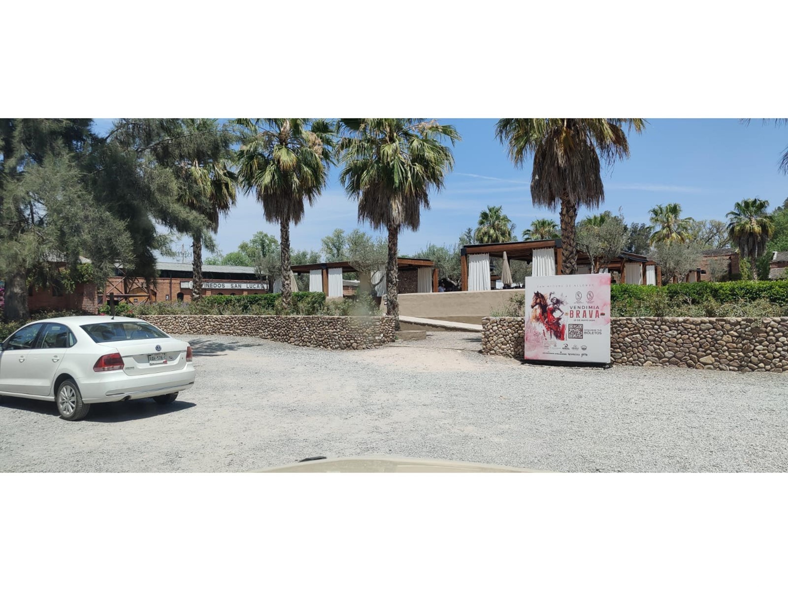 Lote 1 Manzana 8 Vinedo San Lucas Property Photo 42