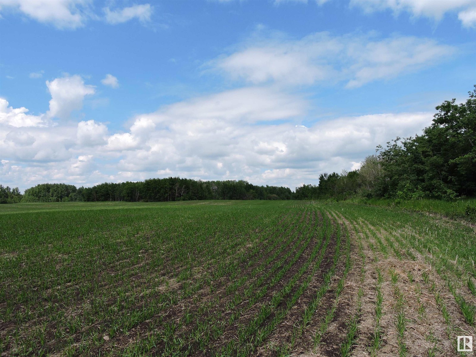 Range 103 Township 564 Property Photo 2