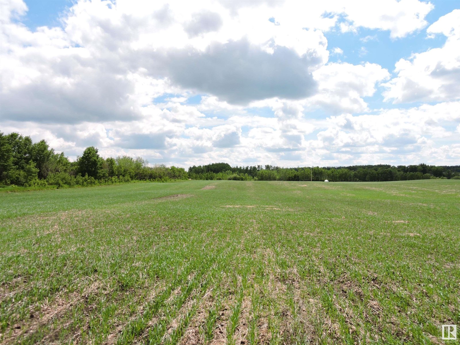 Range 103 Township 564 Property Photo 3