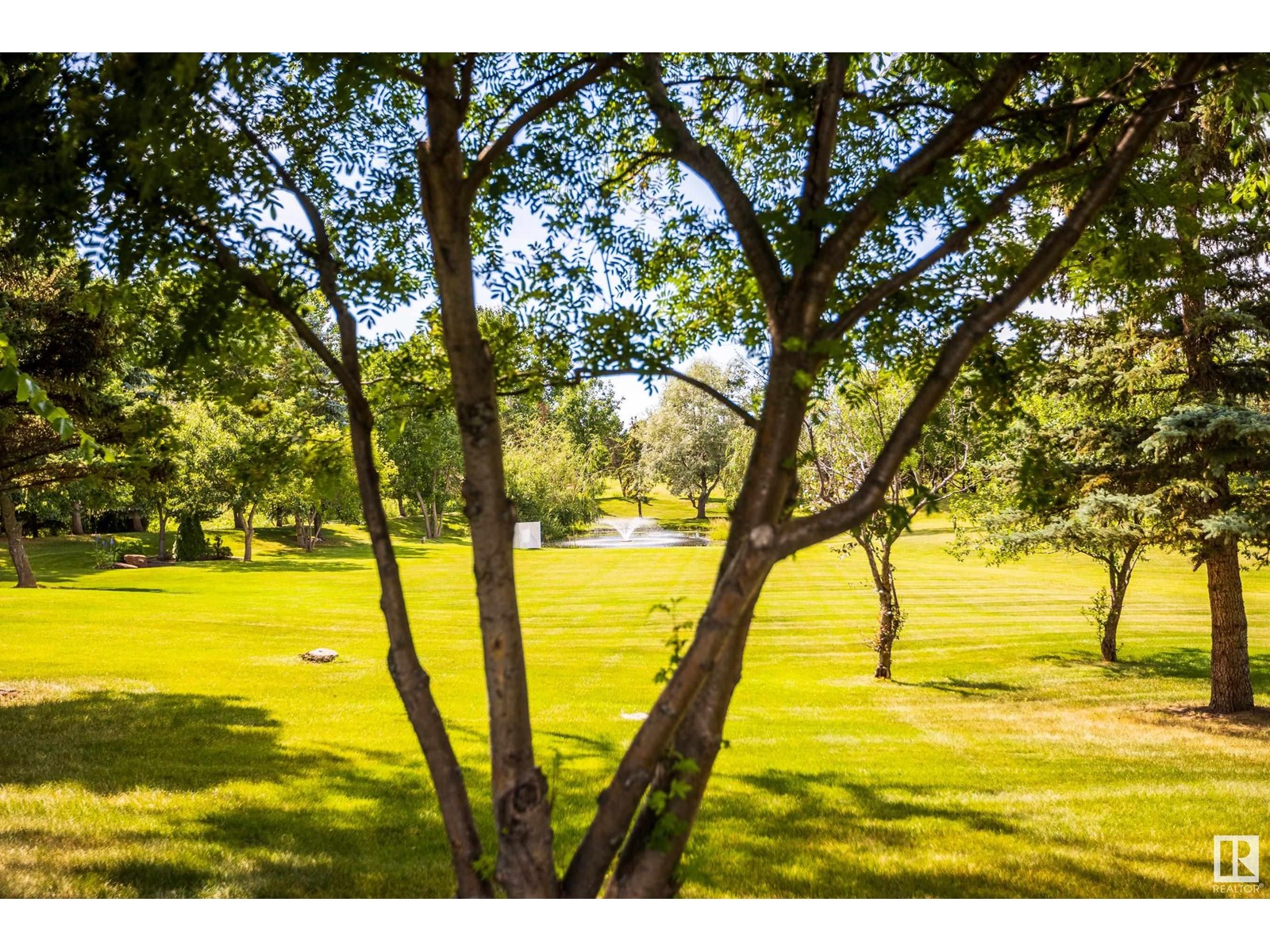 #194 52319 Rge Rd 231 Property Photo 74