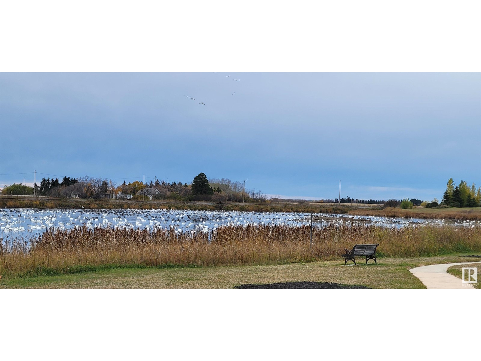 5028 50 Av Property Photo 2
