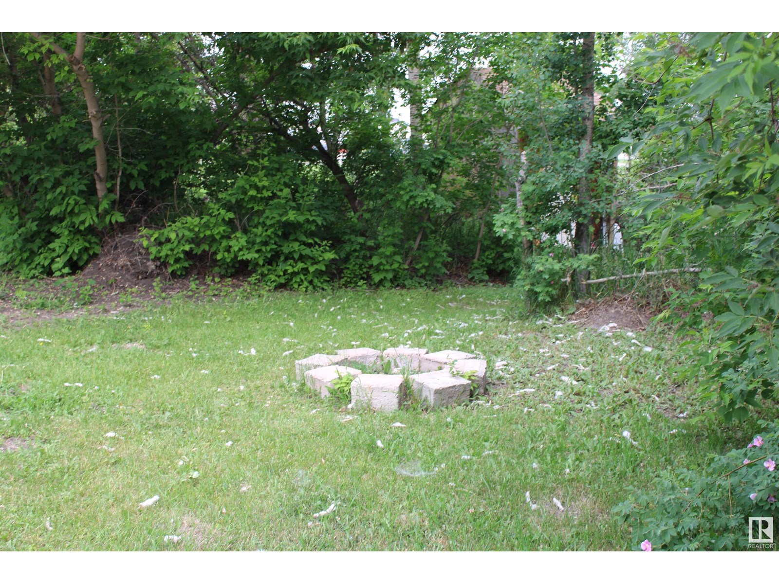#1-4 4913 47 Av Property Photo 46