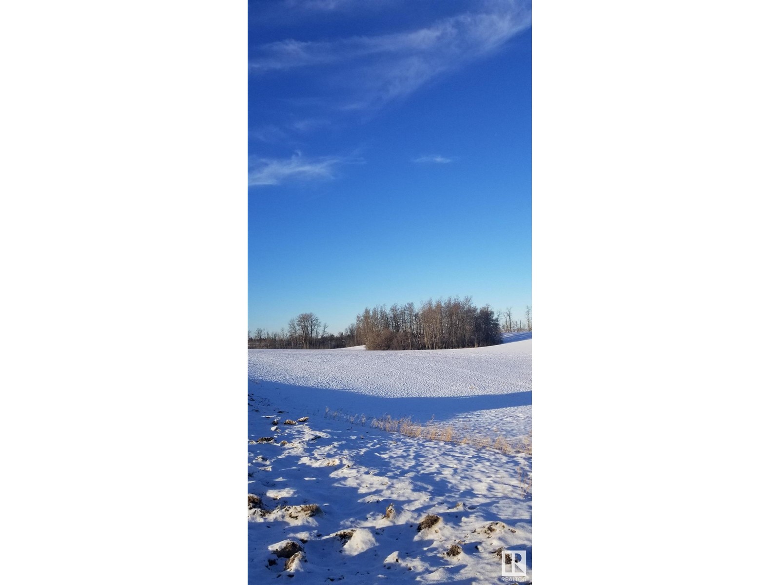 23440/23441 114 Av Property Photo 16