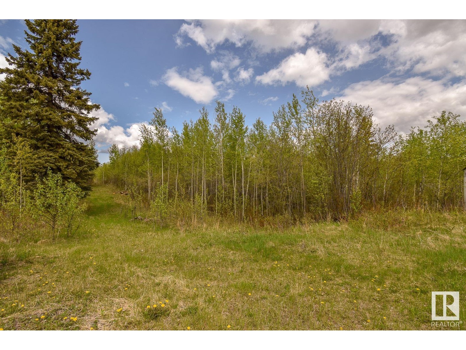 Rge Rd 51 And Twp Rd 555 Property Photo 8