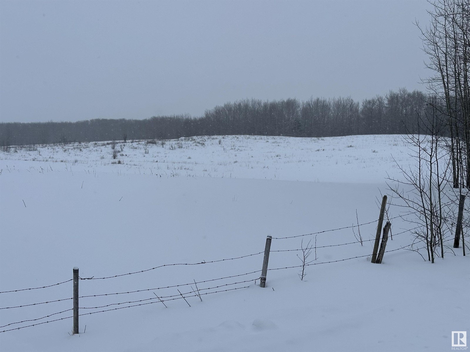 20255 And 20256 Highway 14 Property Photo 5