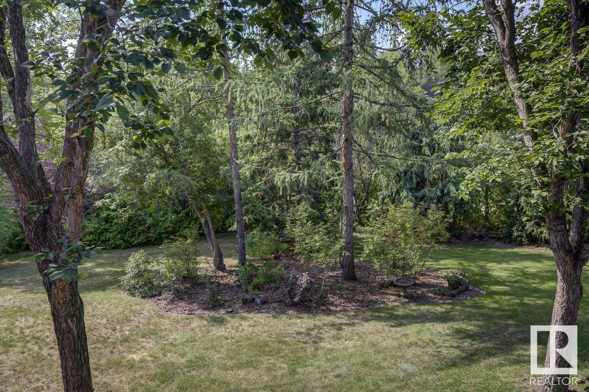 7 Patricia Pl Nw Property Photo 6