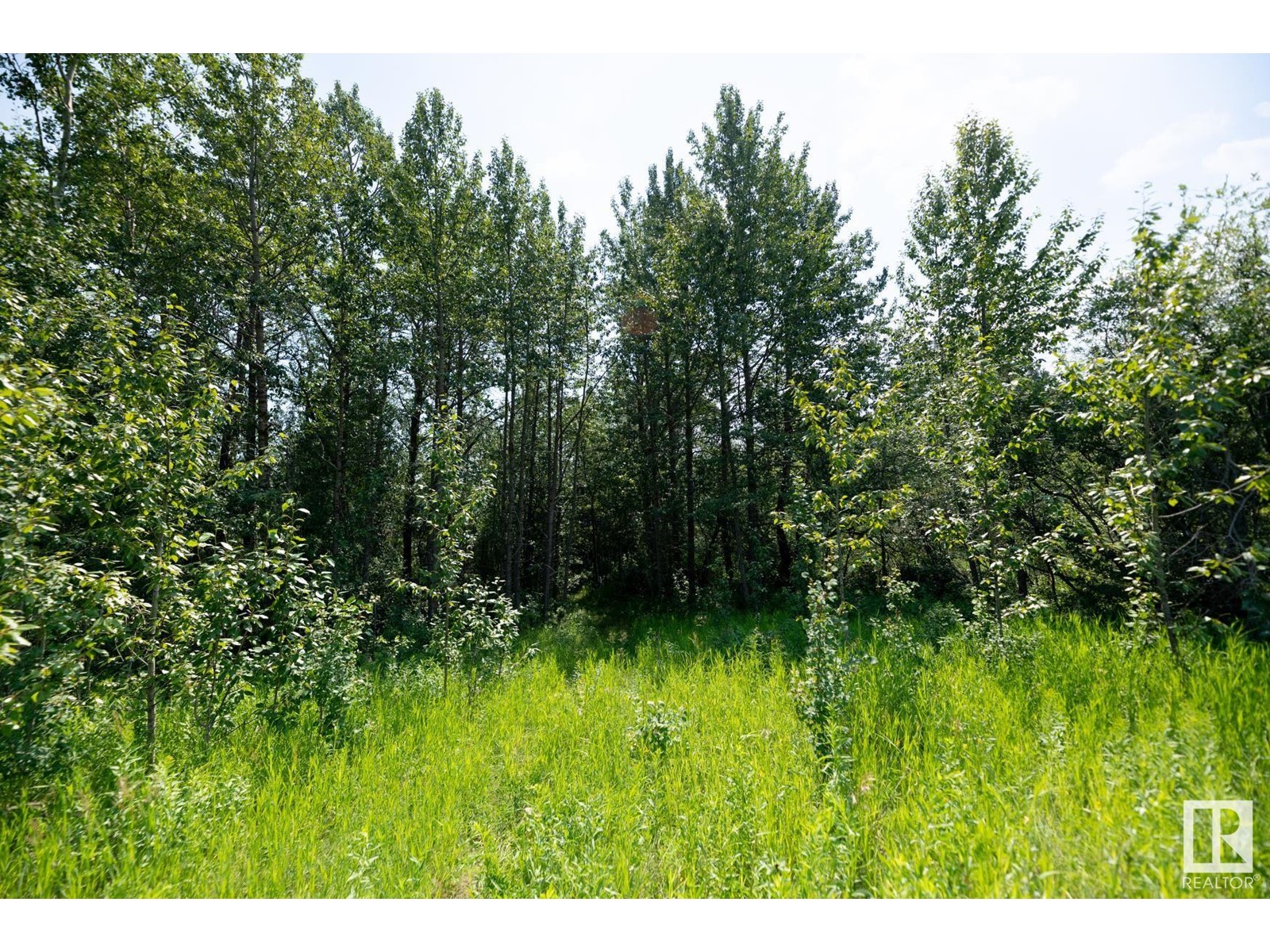 23246 Twp Rd 521a Property Photo 17