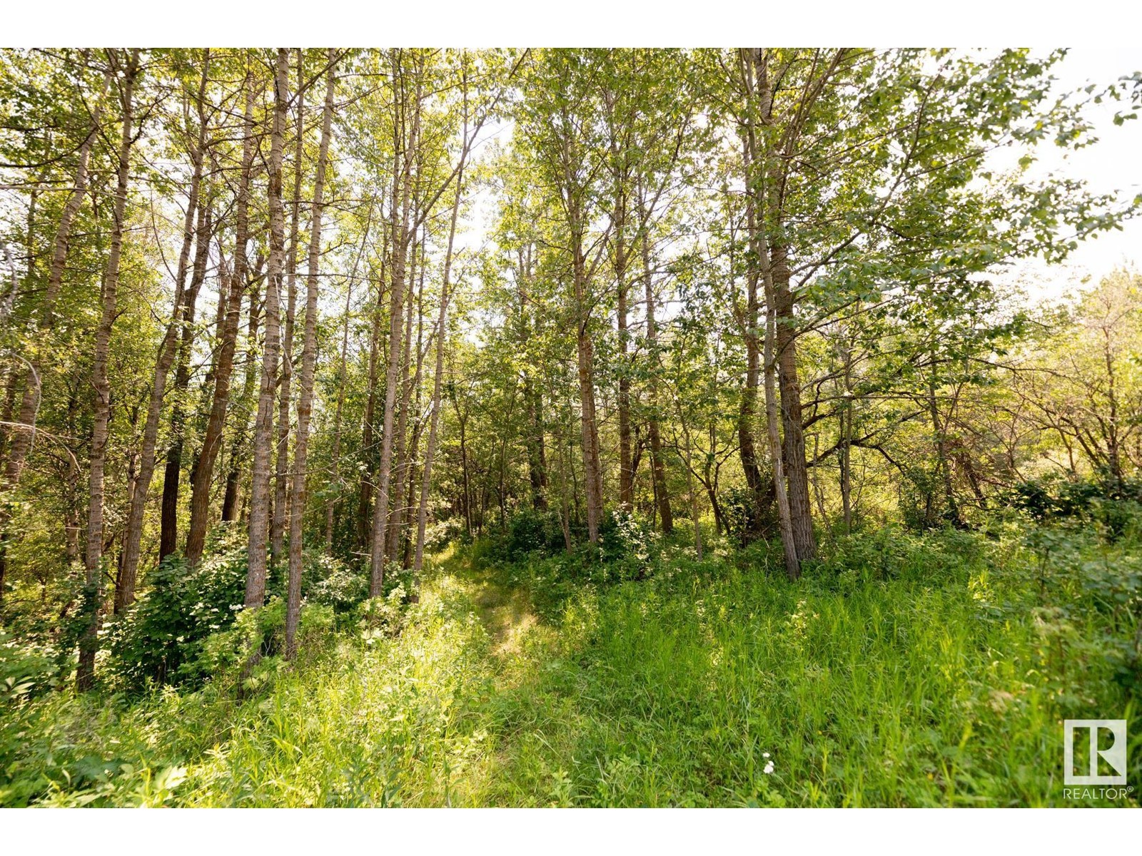 23246 Twp Rd 521a Property Photo 18