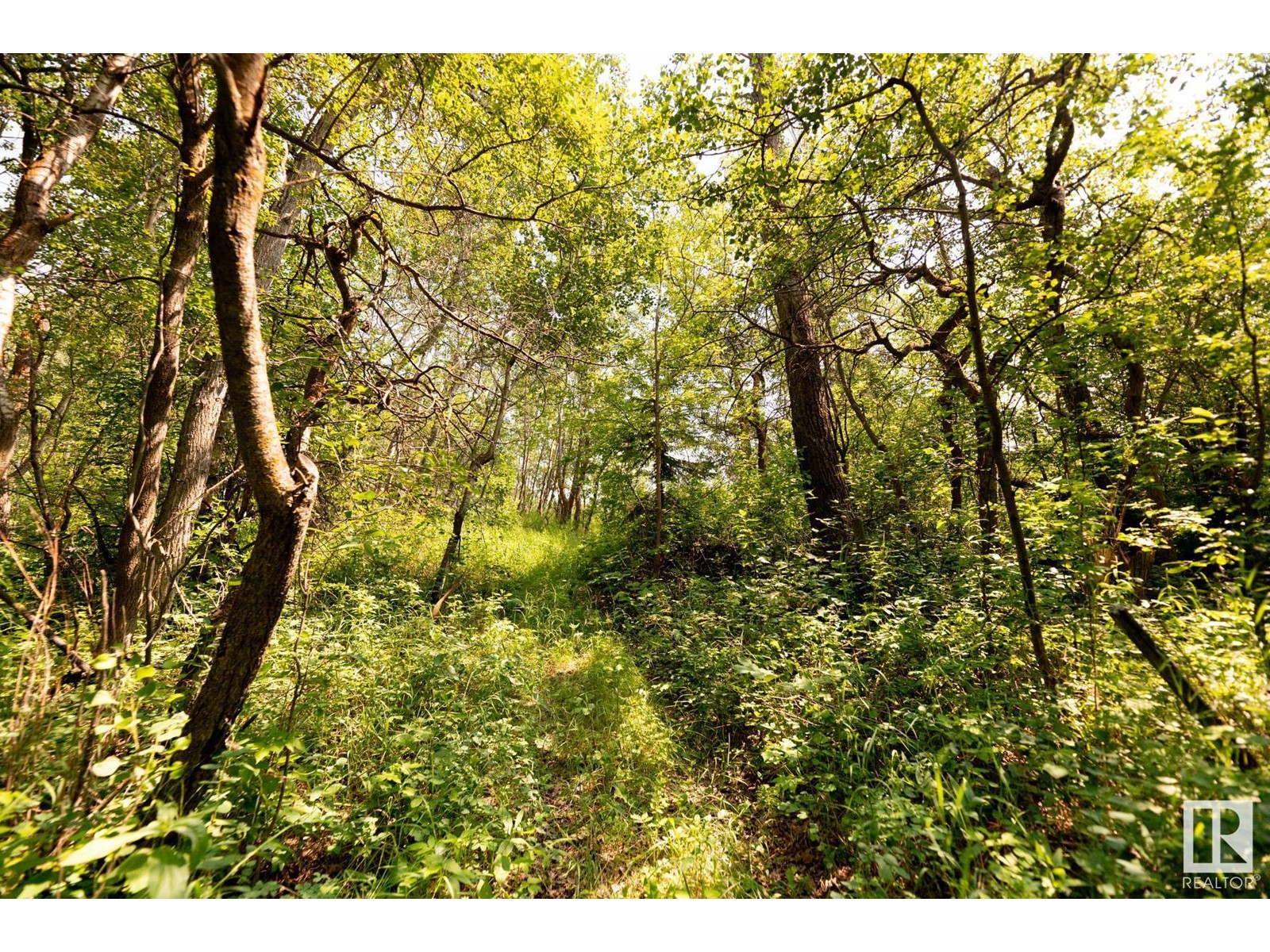 23246 Twp Rd 521a Property Photo 20