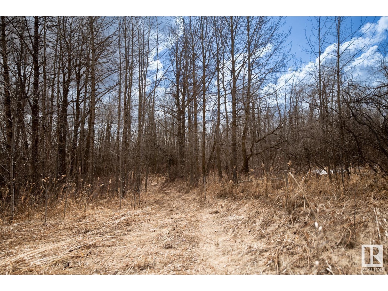 23246 Twp Rd 521a Property Photo 32
