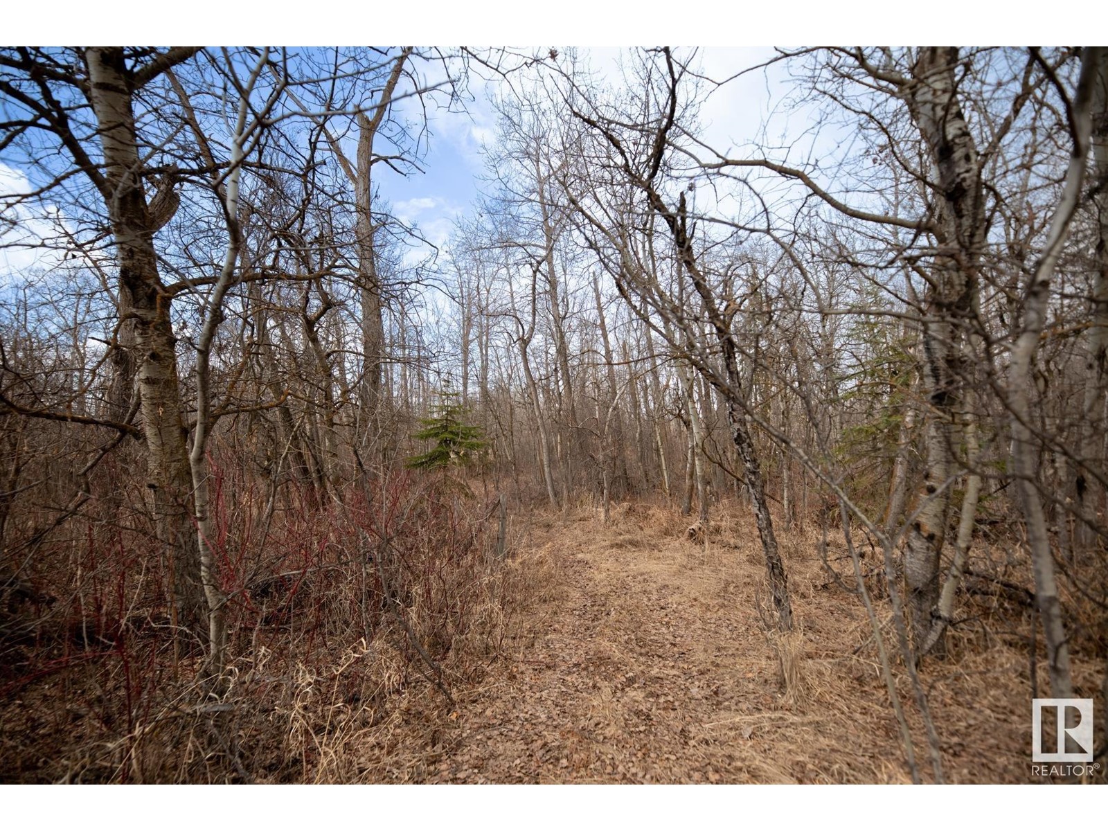 23246 Twp Rd 521a Property Photo 36
