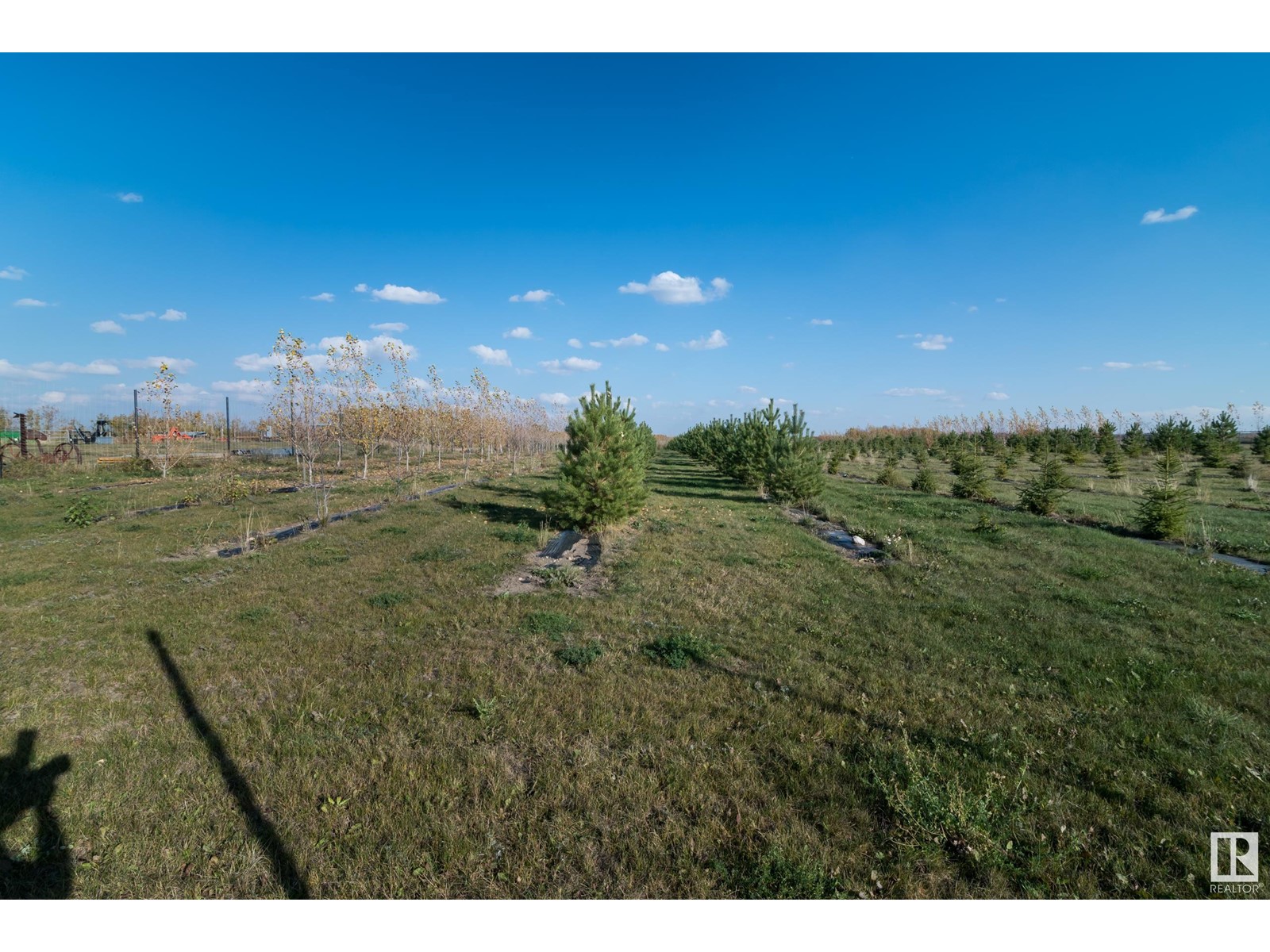 53113c Hwy 21 Property Photo 12