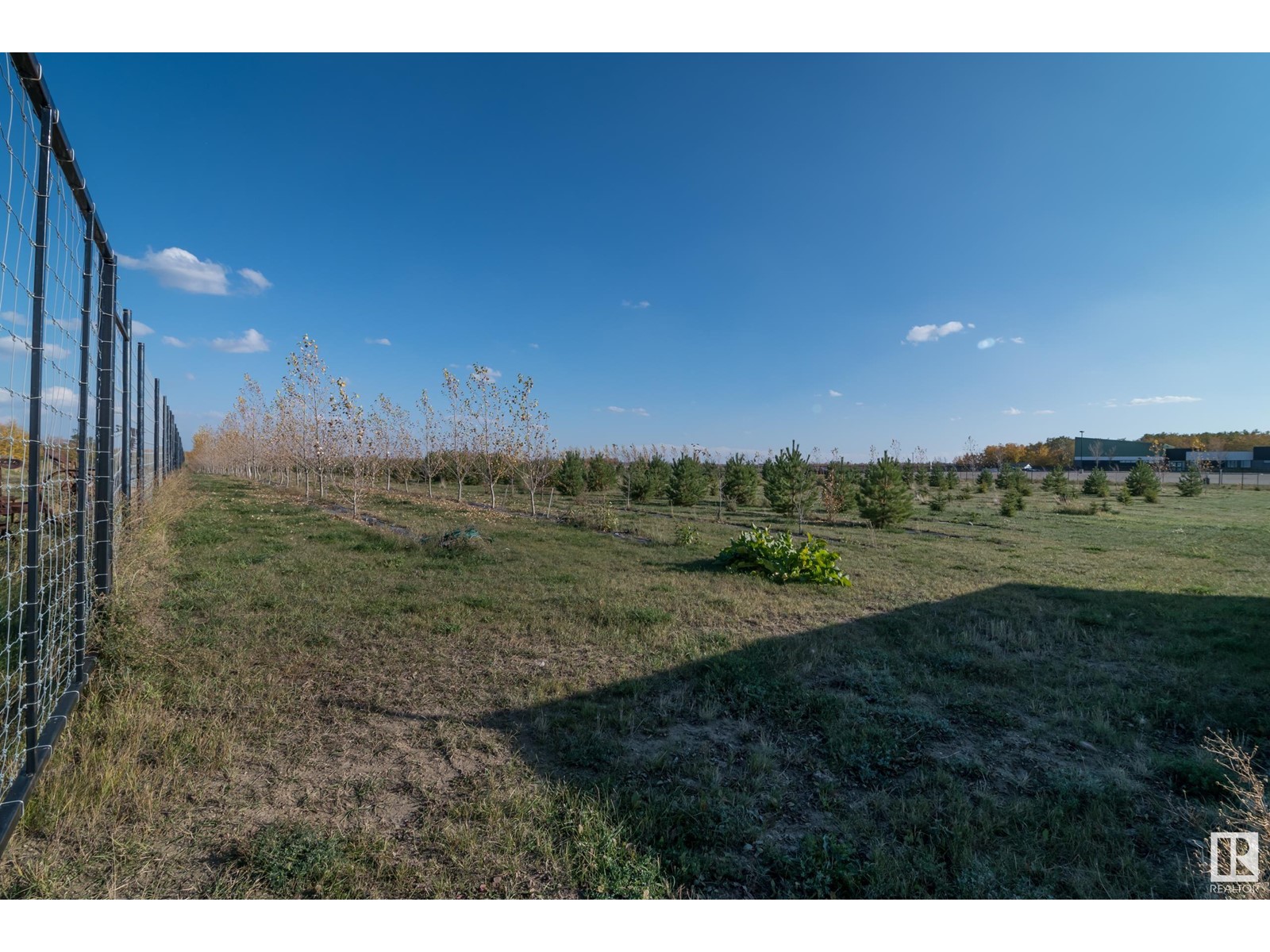 53113c Hwy 21 Property Photo 13