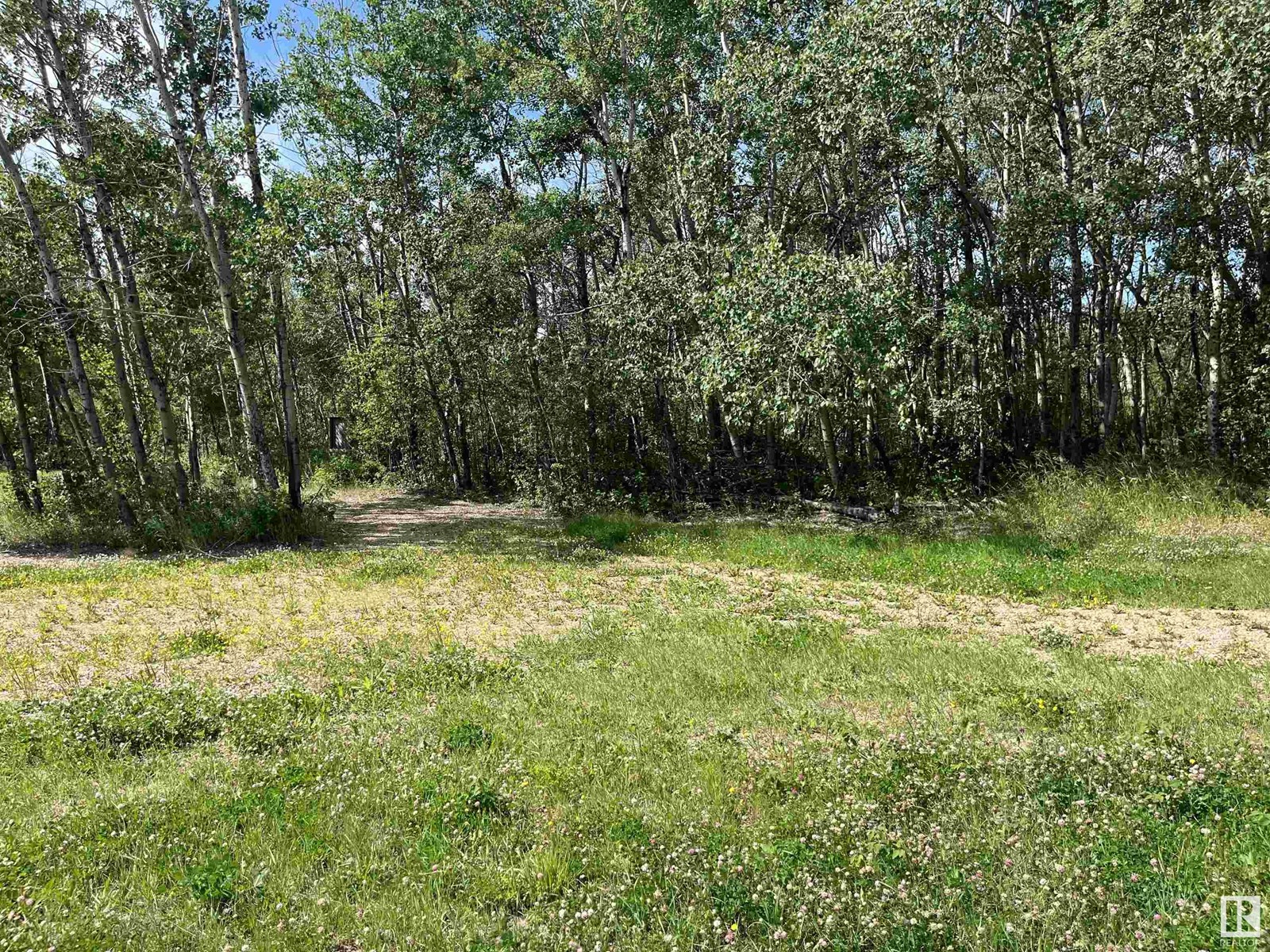 #3 62103 Range Road 133a Property Photo 15