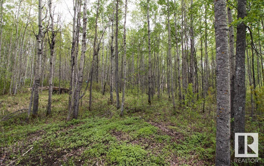 #106 5519 Twp Rd 550 Property Photo 6