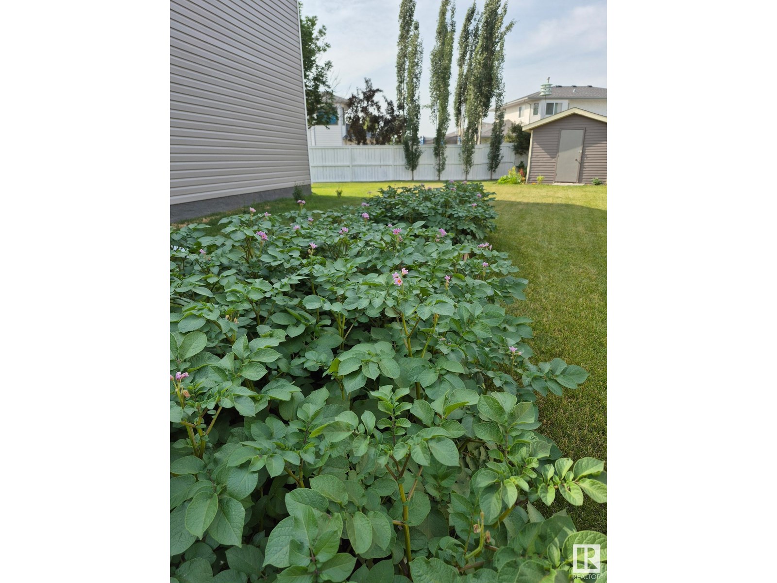 5 Parkridge Cr Property Photo 47