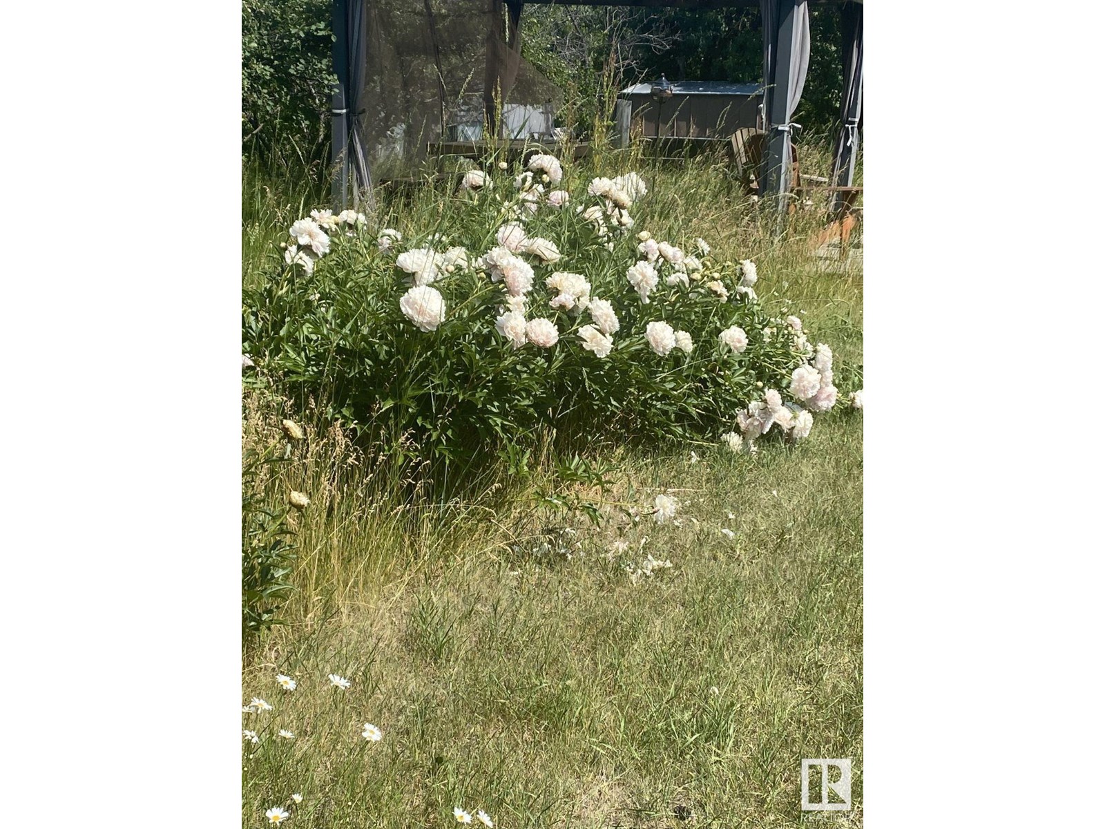5027 47 St Property Photo 19