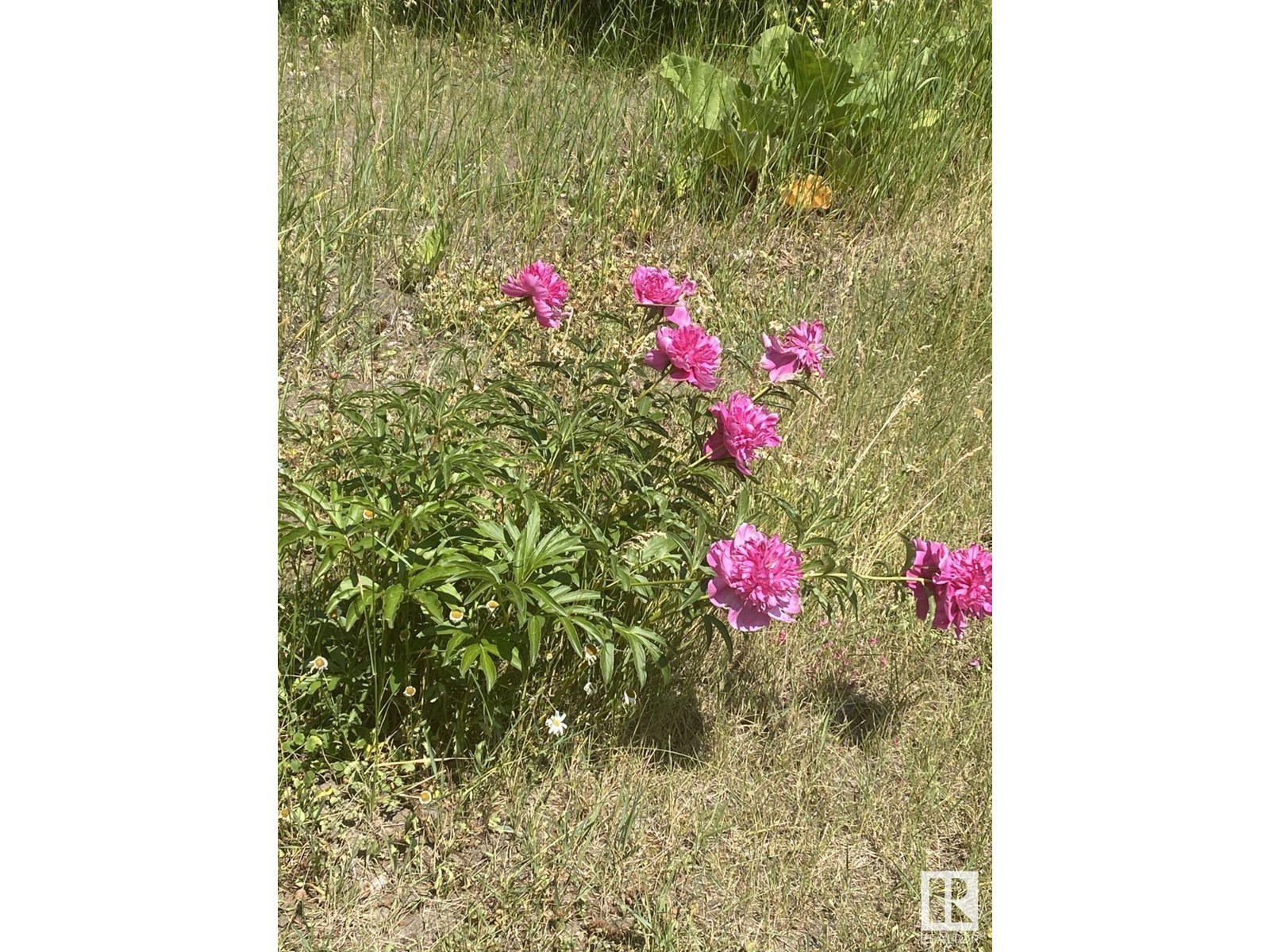 5027 47 St Property Photo 20