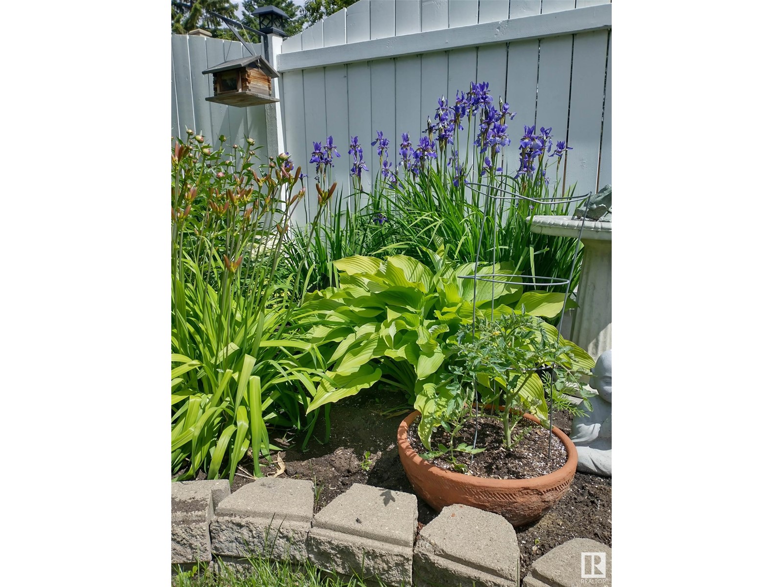 8925 79 Av Nw Nw Property Photo 50