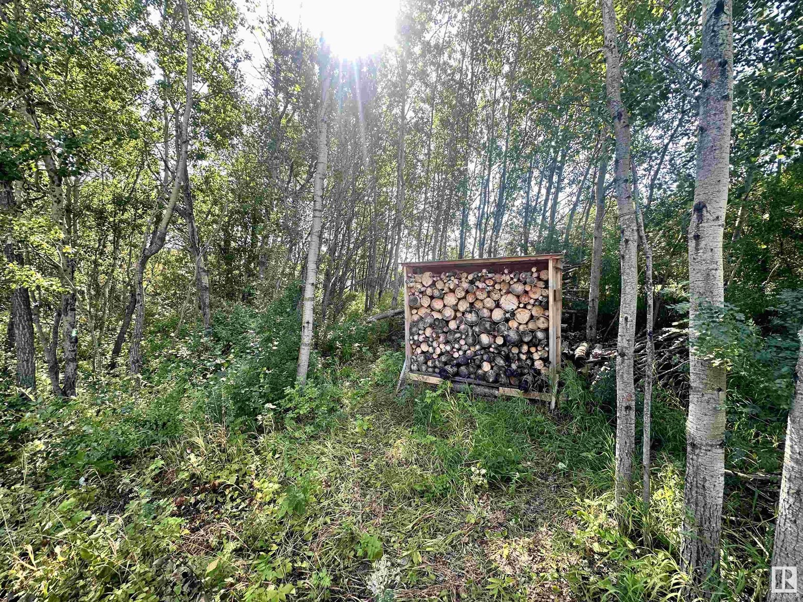 277 57201 Rr 102 Property Photo 24