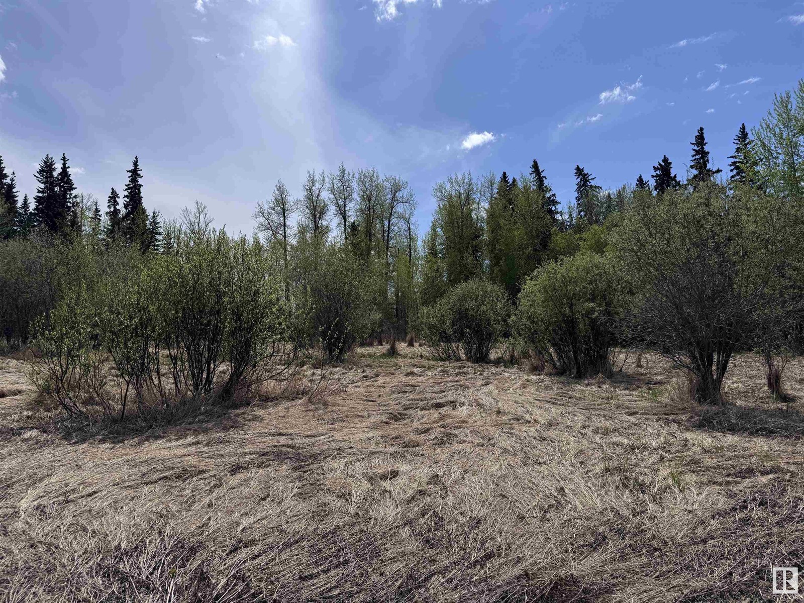 4816 & 4818 55 St Property Photo 2