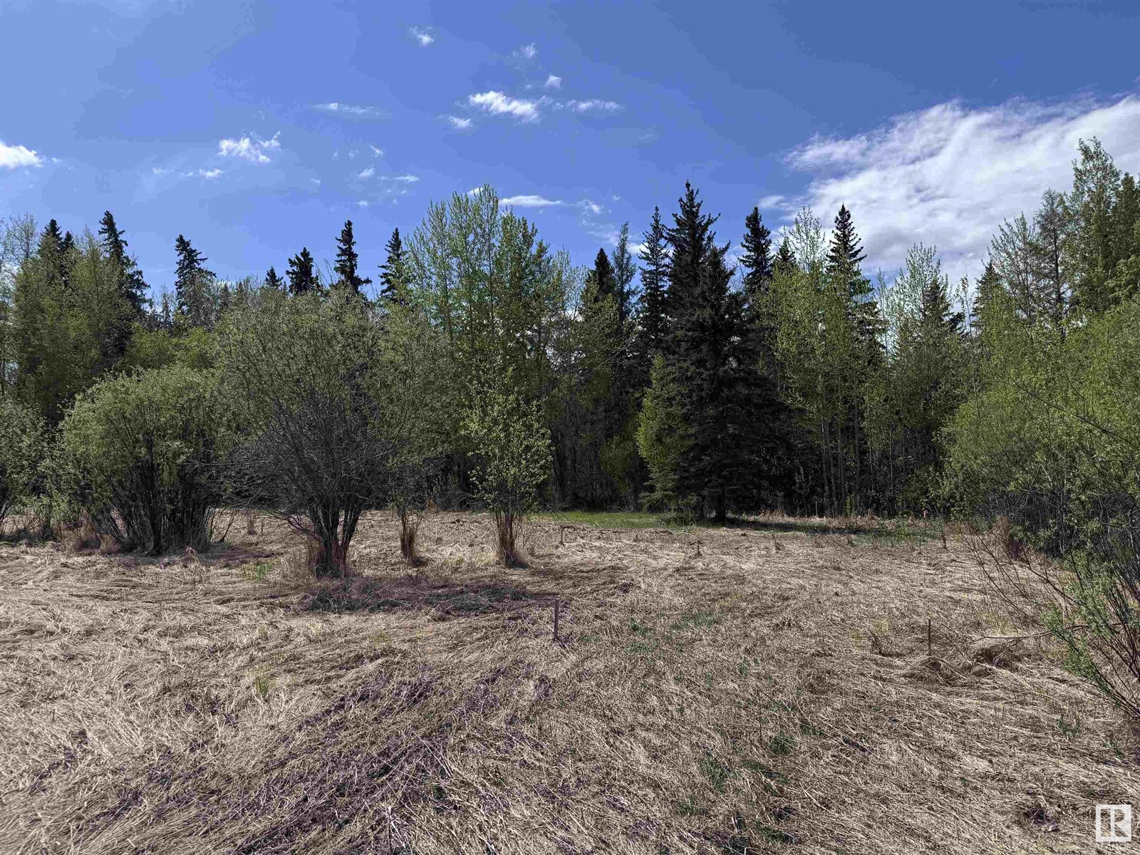 4816 & 4818 55 St Property Photo 10