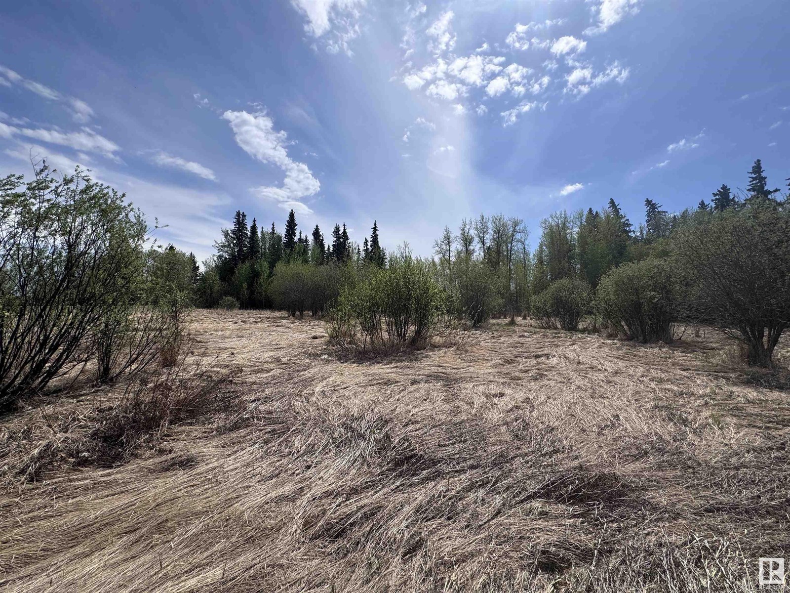 4816 & 4818 55 St Property Photo 11
