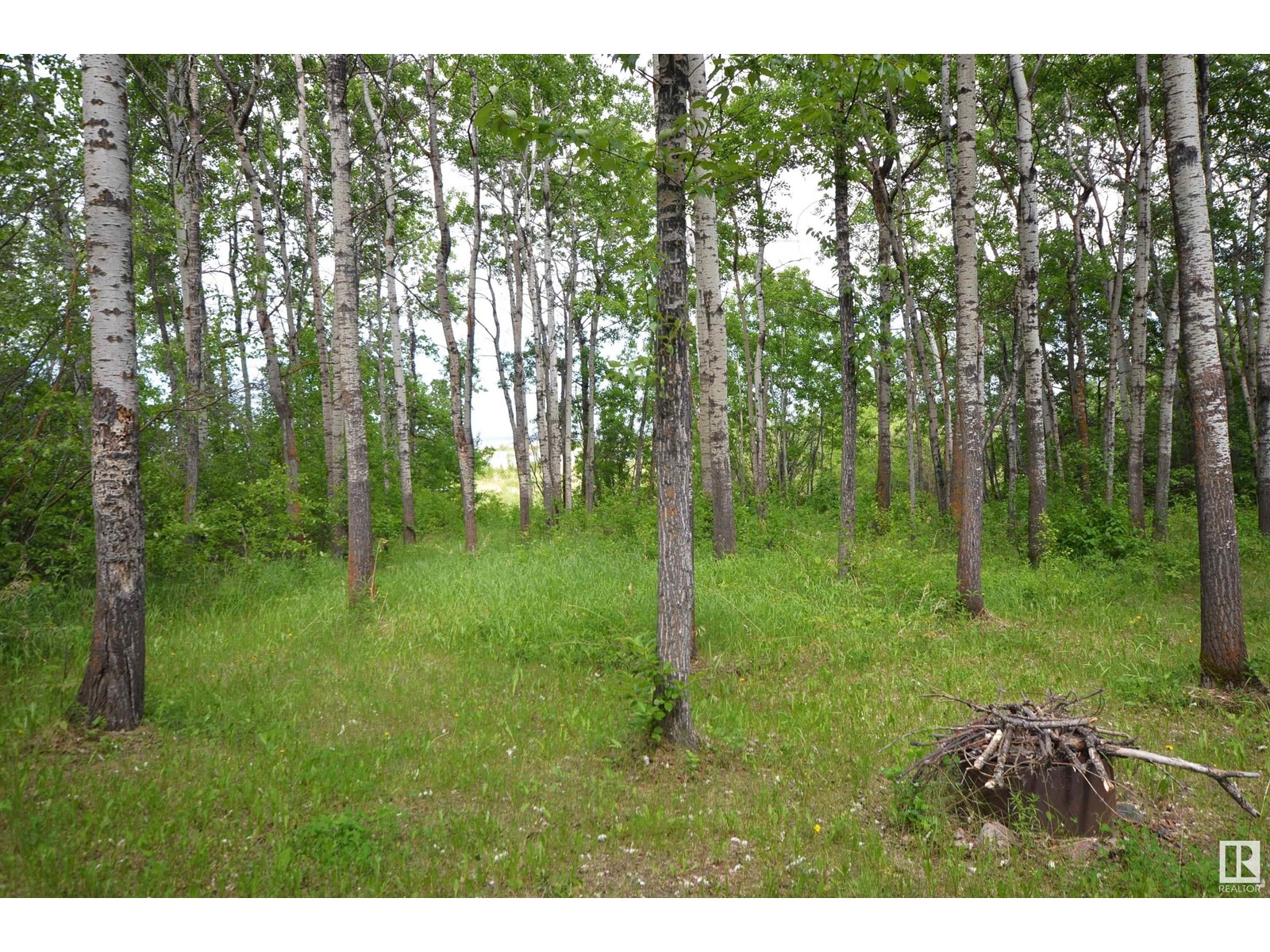 6 45302 Twp Rd 593a Property Photo 36