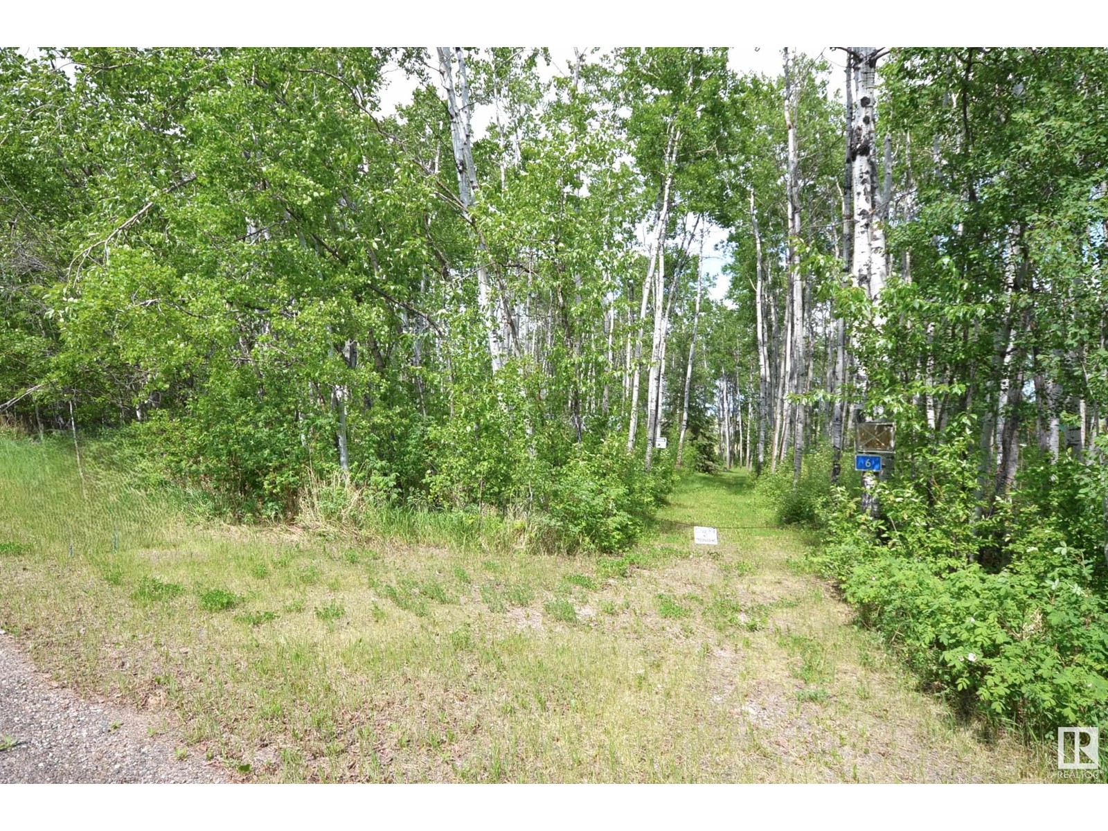 6 45302 Twp Rd 593a Property Photo 38