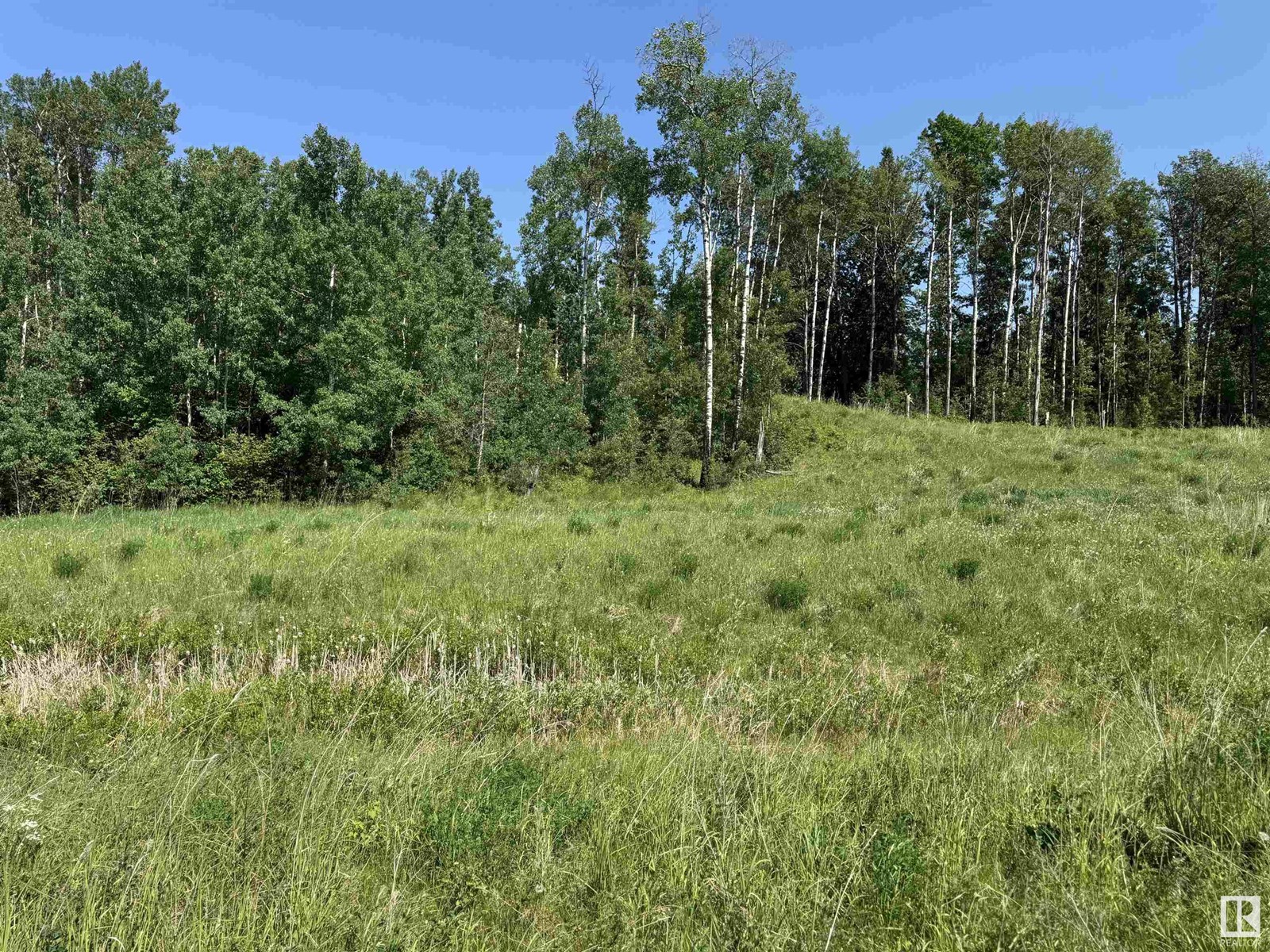 M5 R3 Twp54 S14 Qnw Property Photo 11