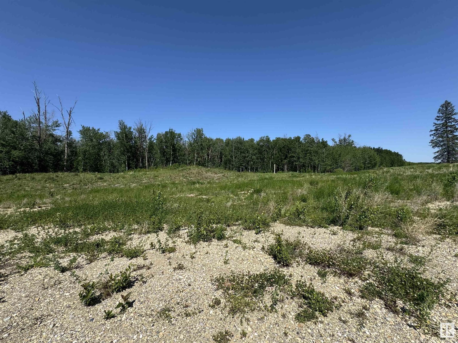 M5 R3 Twp54 S14 Qnw Property Photo 18