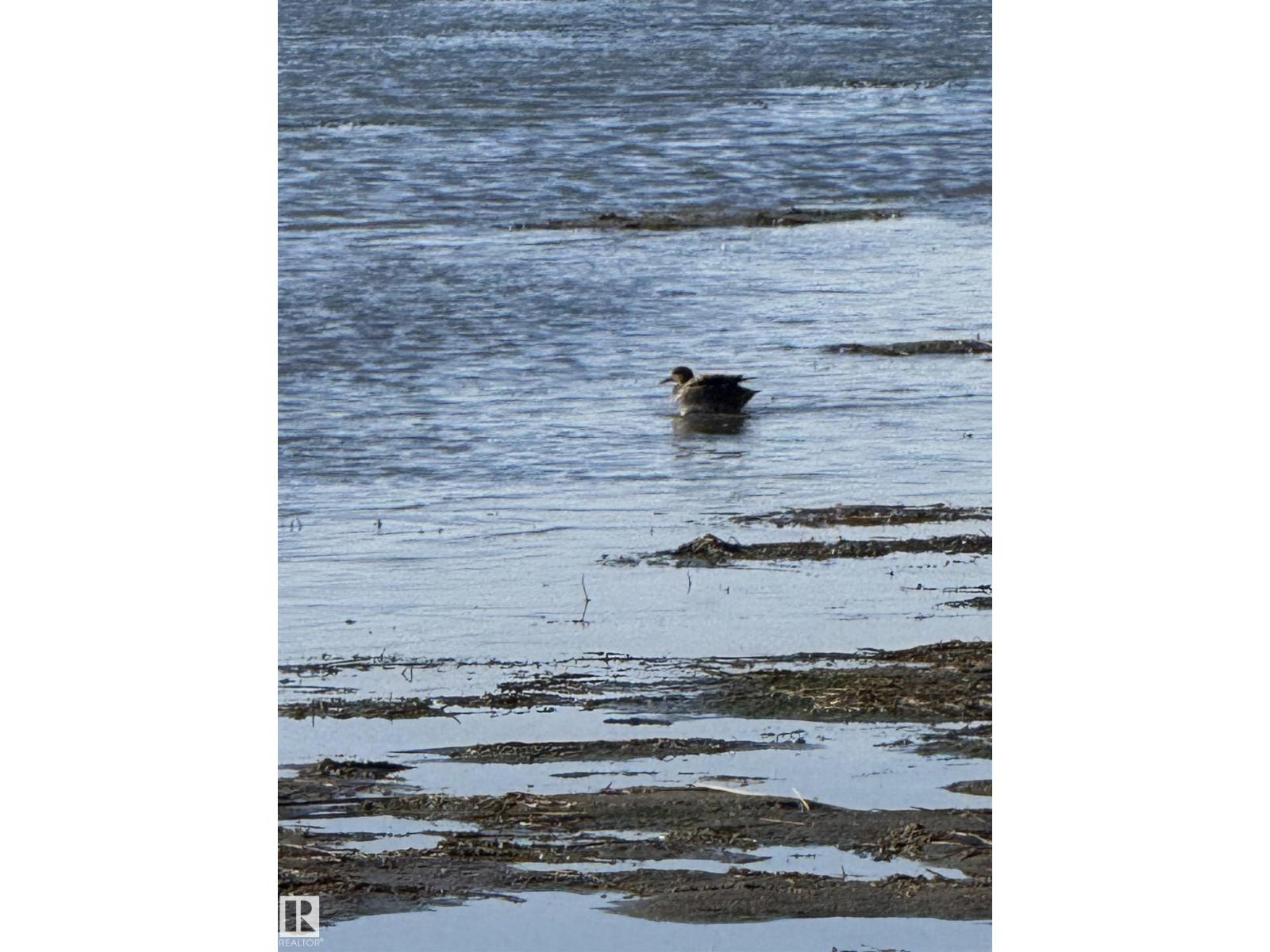 4531 47 St Property Photo 31