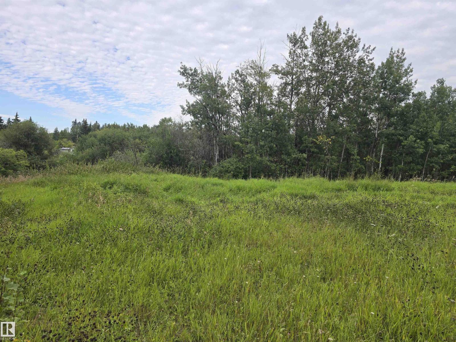 21-55022 Lac Ste. Anne Trail Property Photo 3