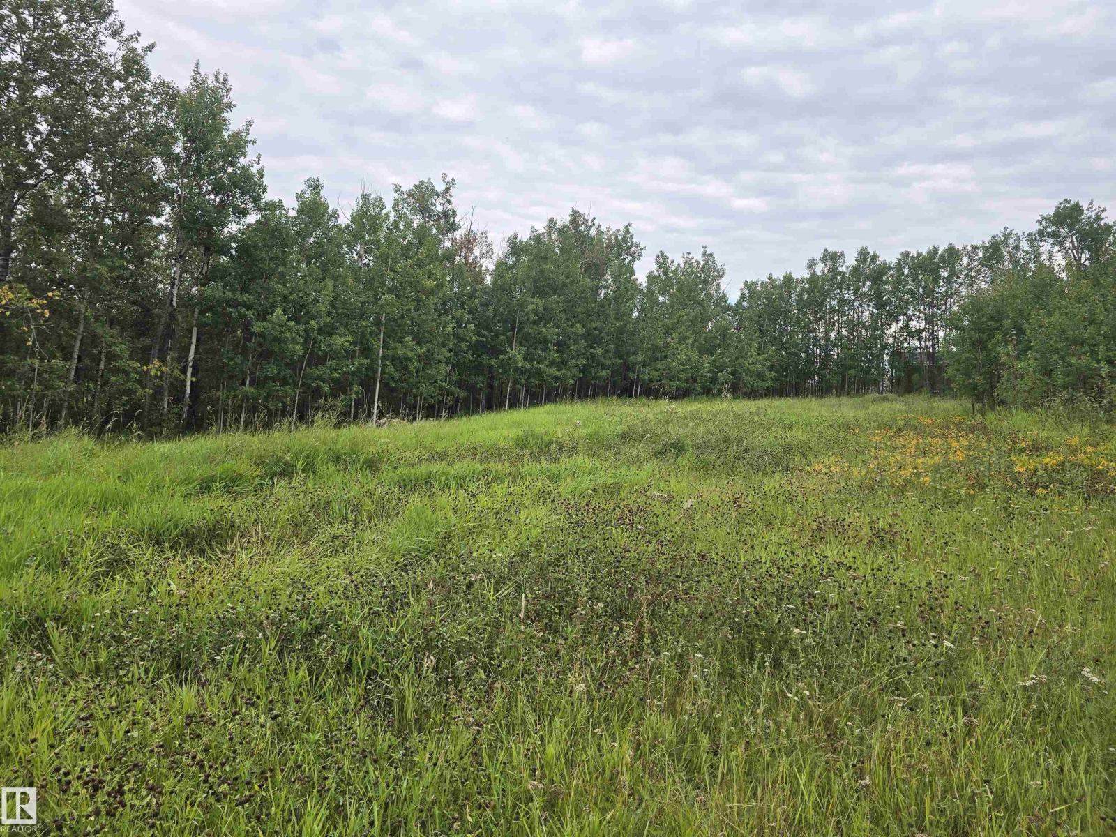 21-55022 Lac Ste. Anne Trail Property Photo 4