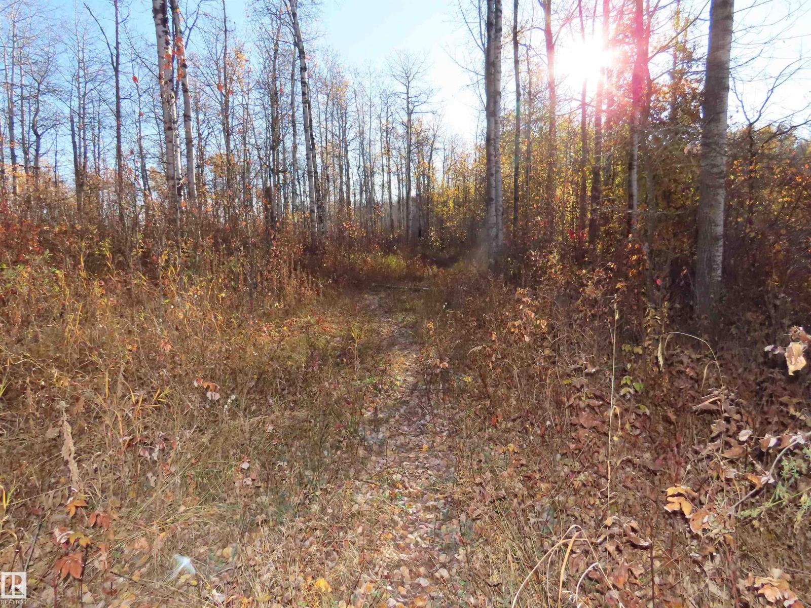 54425 Ste Anne Trail Property Photo 10