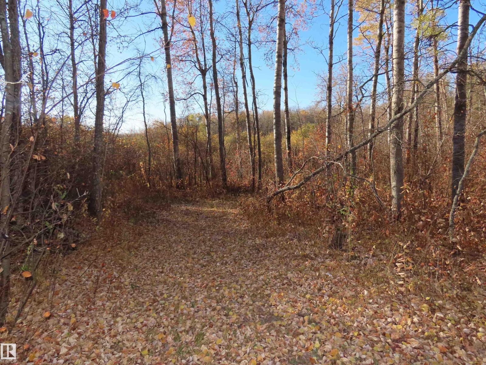 54425 Ste Anne Trail Property Photo 15